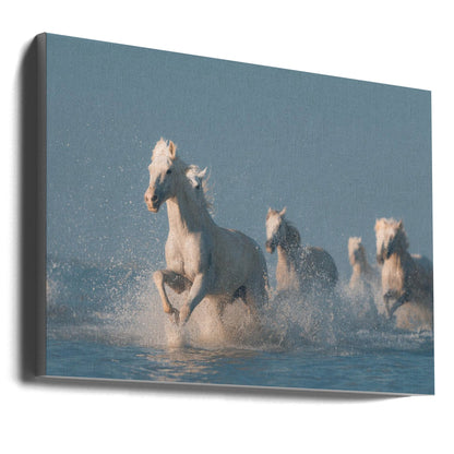 Wandbild Engel der Camargue. Pferd