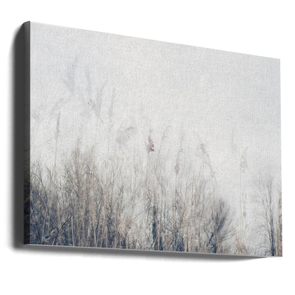 Wandbild Landschaft aus Schilf und Gras