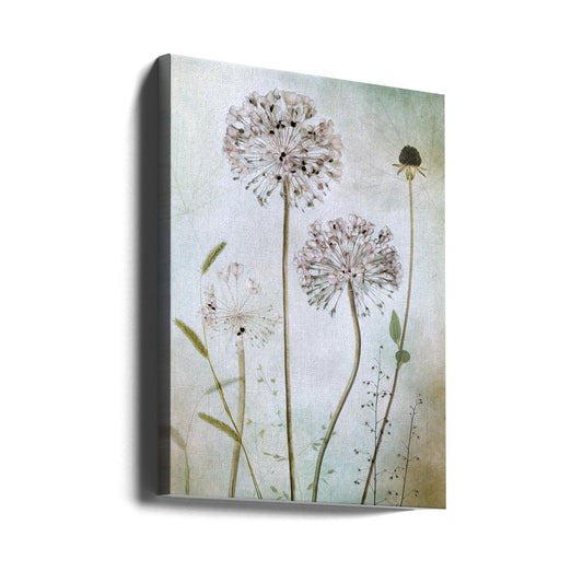 Wandbild Allium