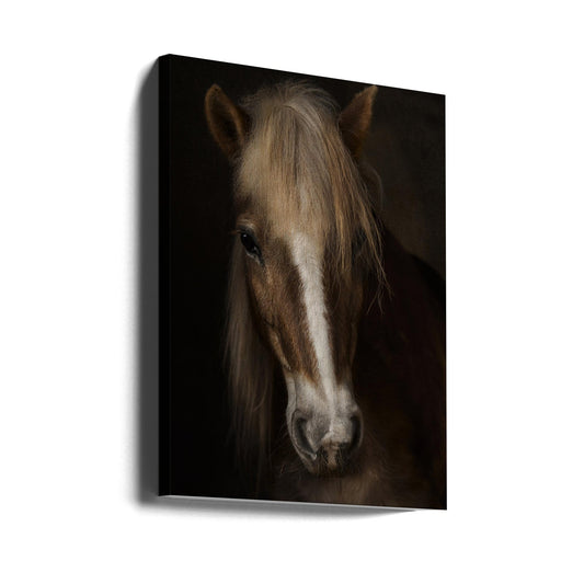 Wandbild Sapience