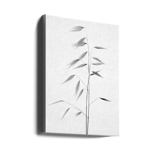 Wandbild Schärfe der Natur