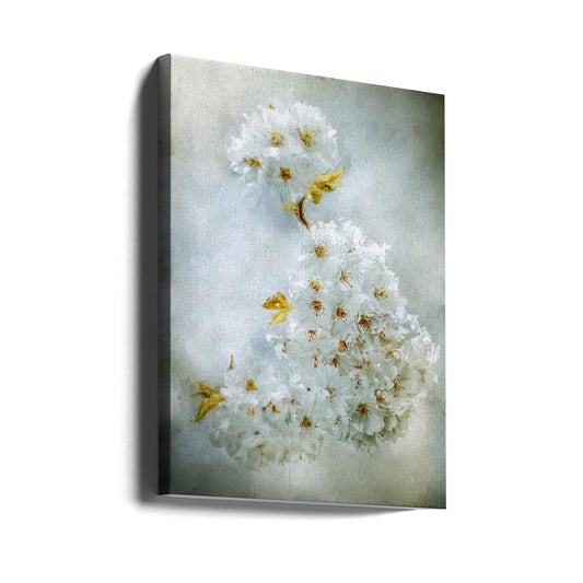 Wandbild Kirschblüten