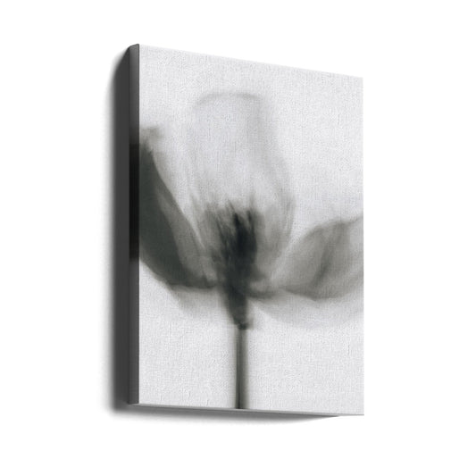 Wandbild Mono Tulpe