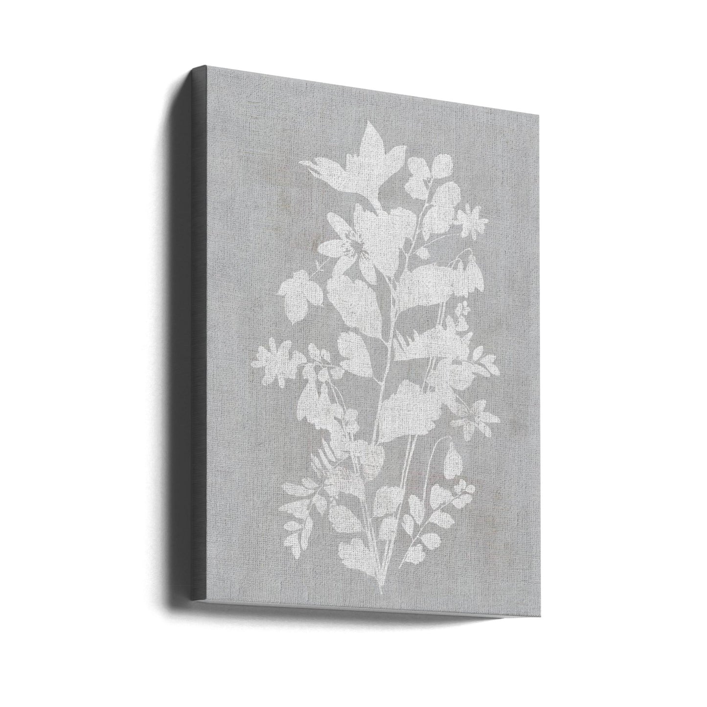 Wall art Botanical Illustration 2