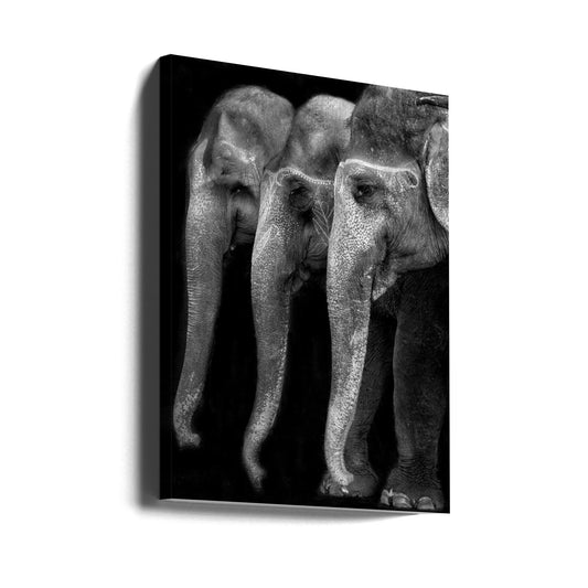 Wandbild Die Natur ist ein großartiges Meisterwerk, ein Elefant; das einzige harmlose große Ding ...
