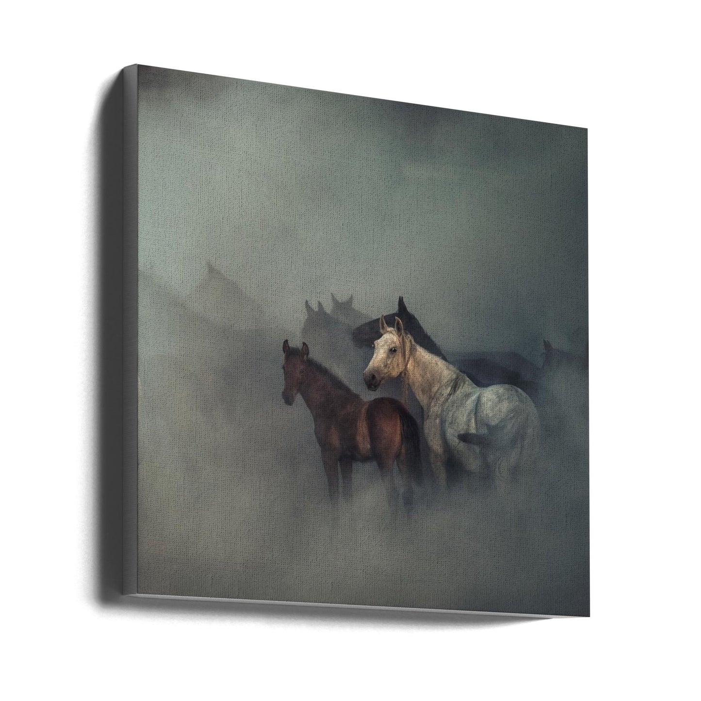 Wall art The lost horses