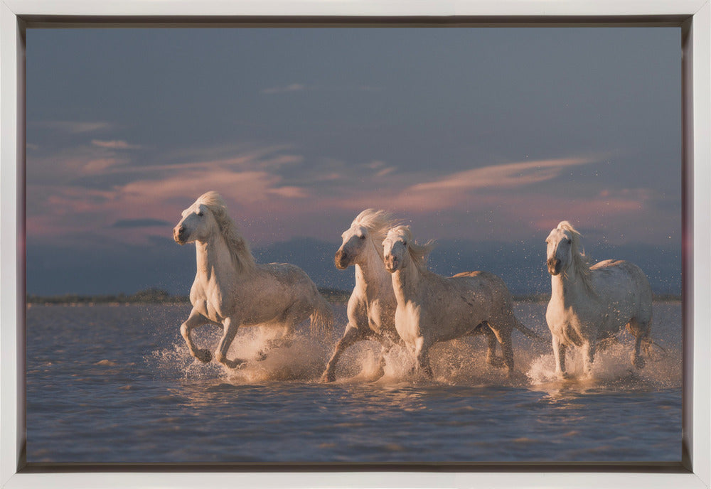 Wandkunst Engel der Camargue. Pferde