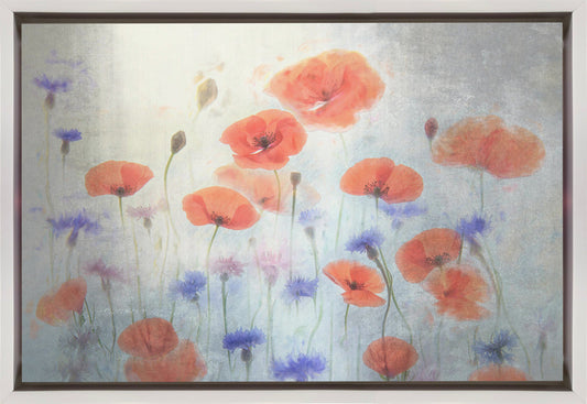 Wandbild Mohn
