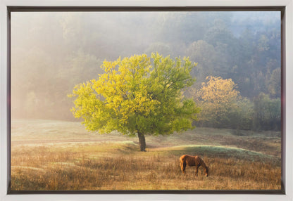 Wandbild Lebensbaum