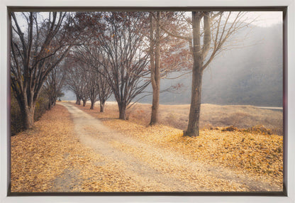 Wall art In the middle of autumn