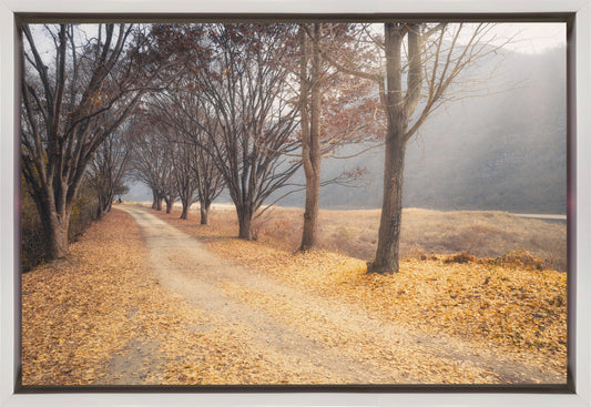 Wandkunst Mitten im Herbst