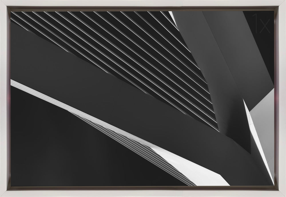 Wandbild Abstraktion eines Schwans