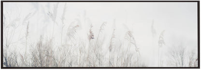 Wandbild Landschaft aus Schilf und Gras