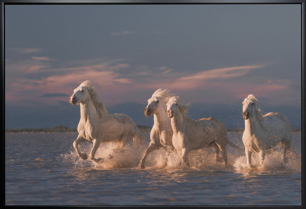 Wandkunst Engel der Camargue. Pferde