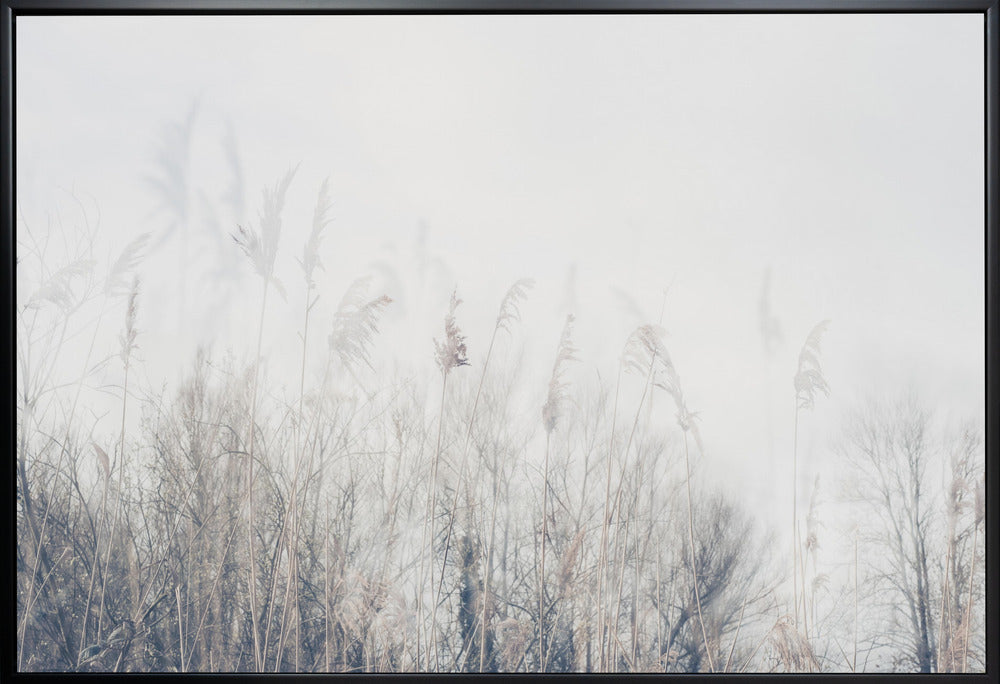 Wandbild Landschaft aus Schilf und Gras