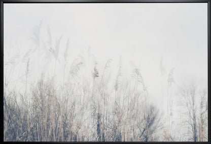 Wandbild Landschaft aus Schilf und Gras