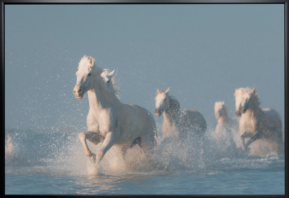 Wandbild Engel der Camargue. Pferd