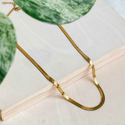 Collier ras de cou doré en acier inoxydable 18K | CLÉOPÂTRE