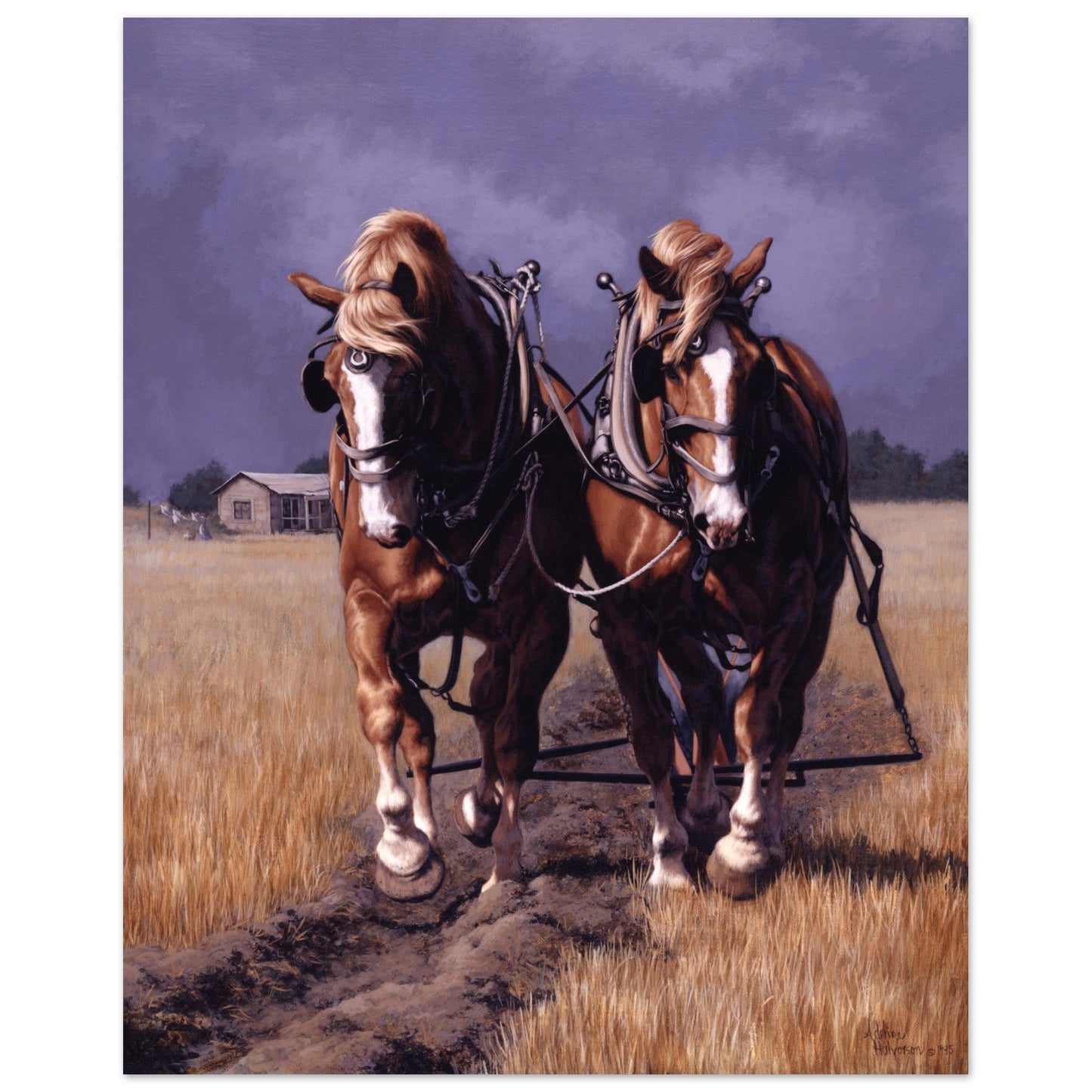 AUF GOLDENEN FELDER Fine Art Print