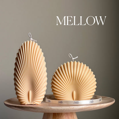 Muschelkerzen-Duo: Dekorative Sojawachs-Muschelkerzen