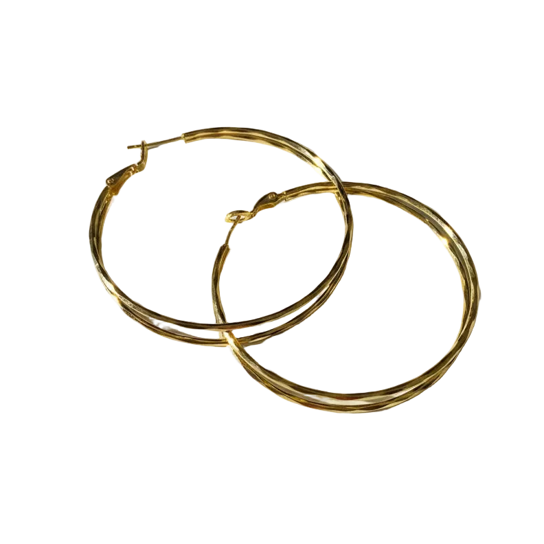 Double Strand Hoop Earring