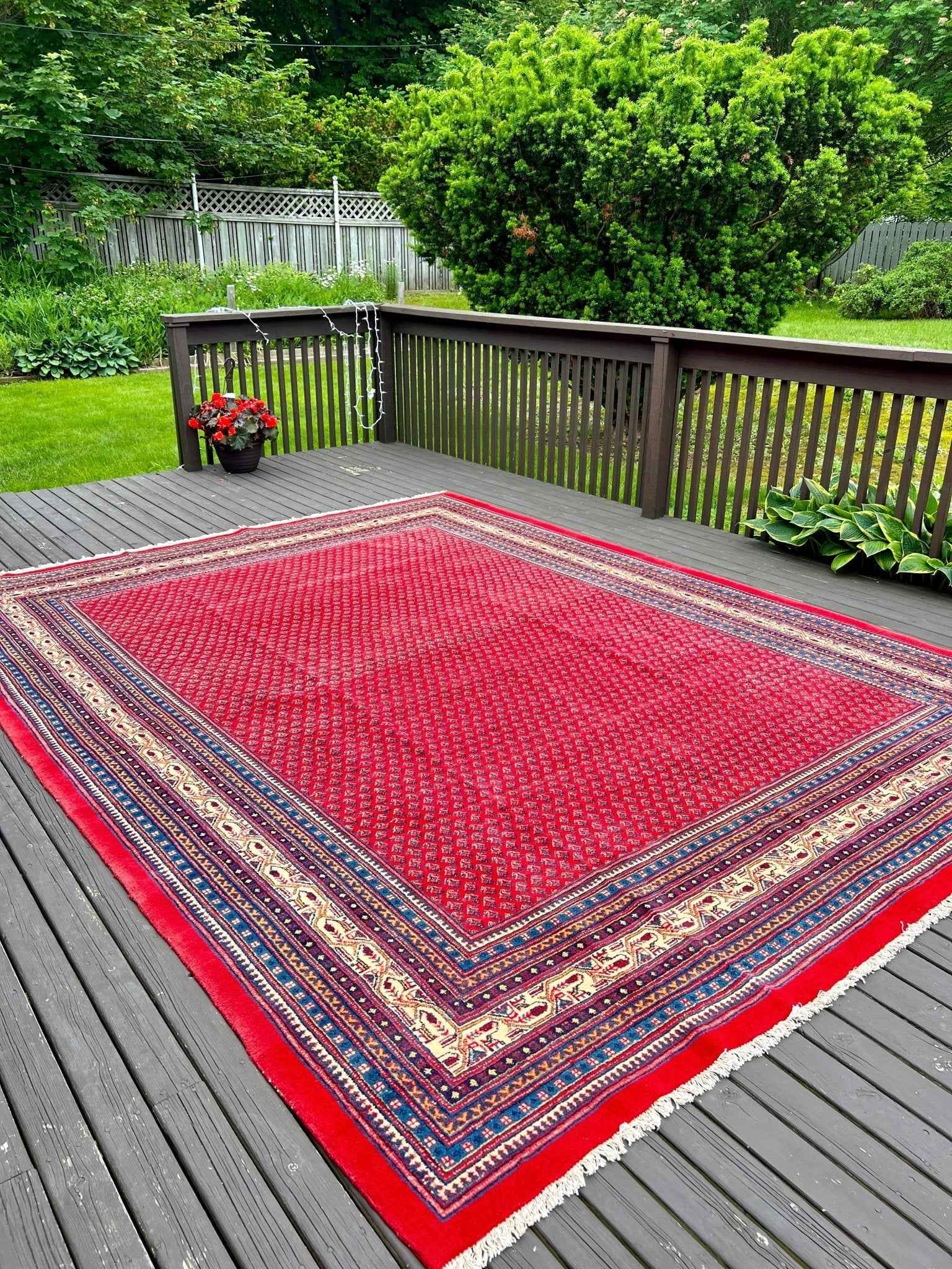 Meer | 12' 3" x 9' 3" | Persian Sarouk Mir Rug