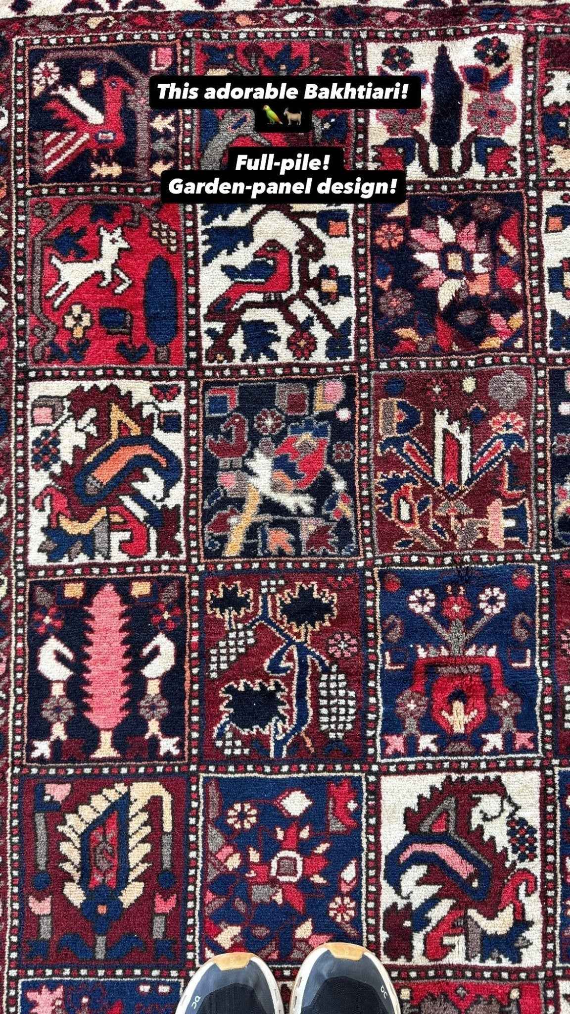 Persian Bakhtiari Rug | 5' 1" x 9' 6"