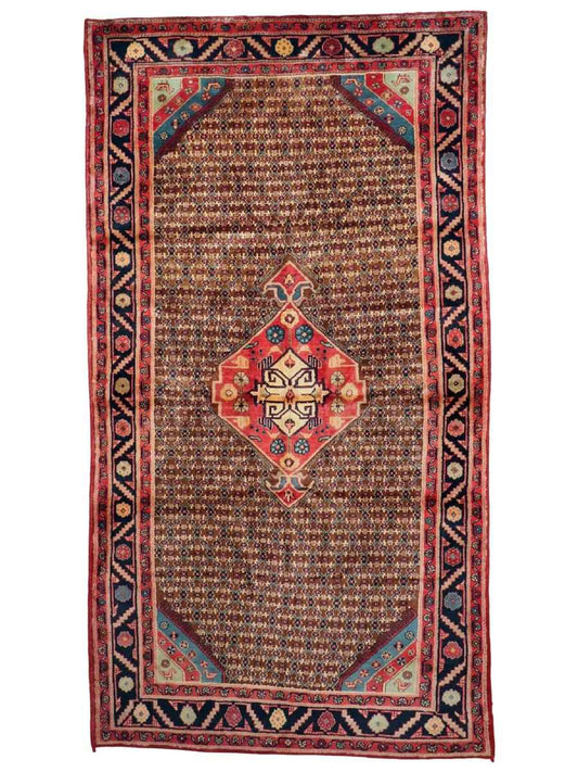 Persian Koliai Rug | 5’ 1" x 9’ 5"