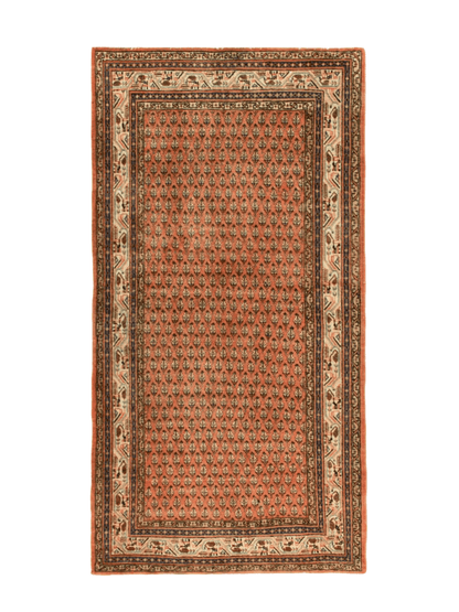 Perserteppich Mir | 112 x 211 cm