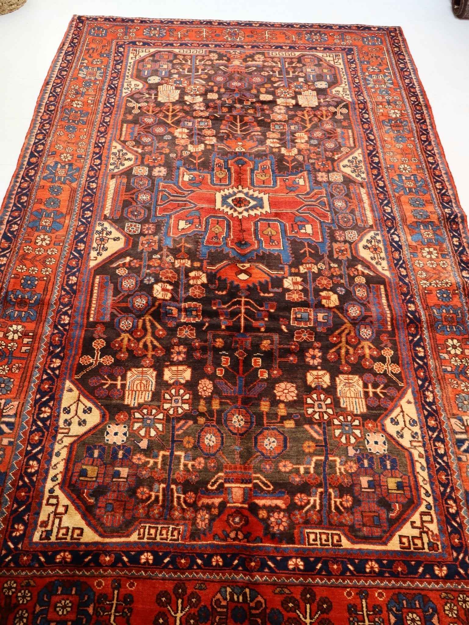 Persian Nahavand Rug | 5' 5” x 9' 7"