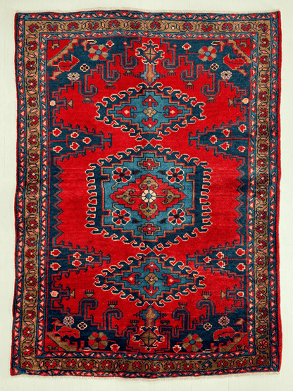 Perserteppich Viss | 3' 7” x 4' 11"