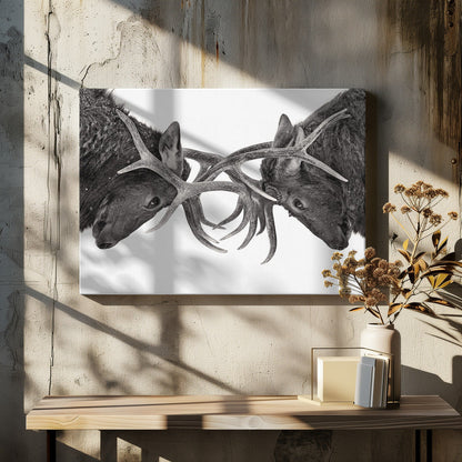 Wandbild Auge in Auge – Elchkampf