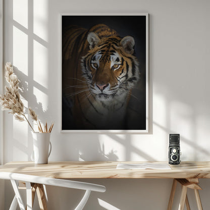 Wandbild Portrait eines Sibirischen Tigers