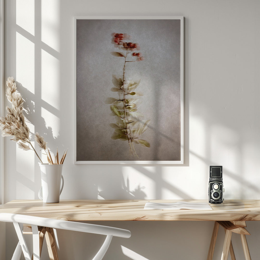 Wall Art Exposed
