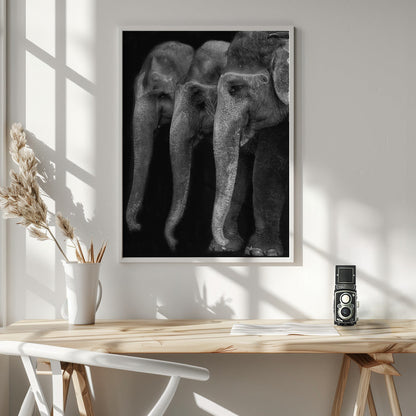 Wandbild Die Natur ist ein großartiges Meisterwerk, ein Elefant; das einzige harmlose große Ding ...