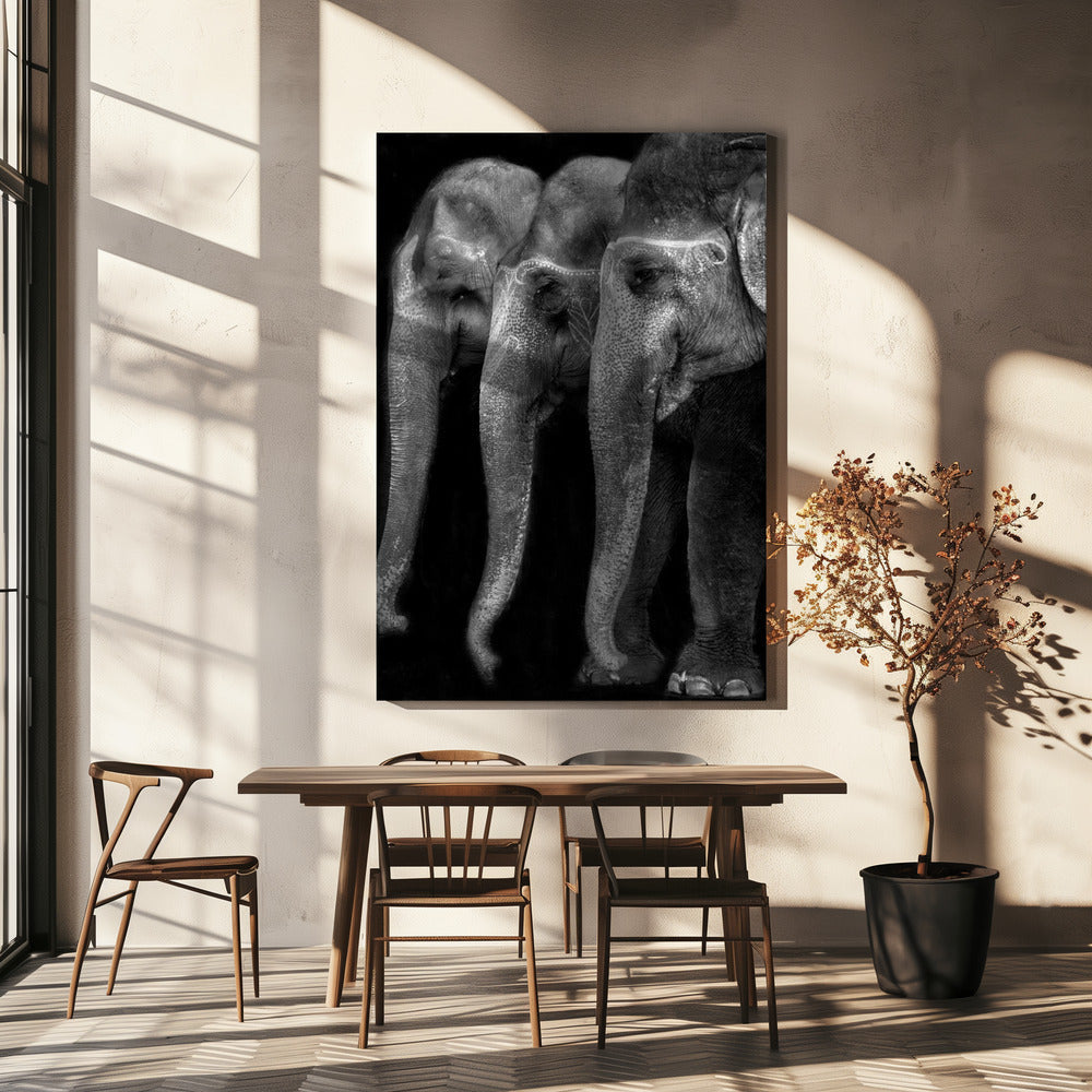 Wandbild Die Natur ist ein großartiges Meisterwerk, ein Elefant; das einzige harmlose große Ding ...