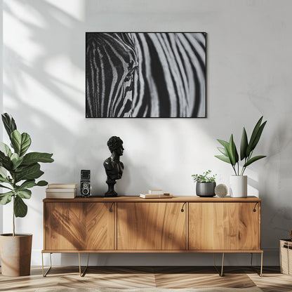 Wandbilder: Der Look der Natur