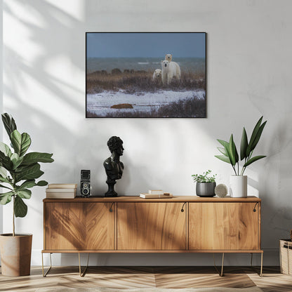 Wandbild Mutterbär mit Jungen, Hudson Bay im Hintergrund