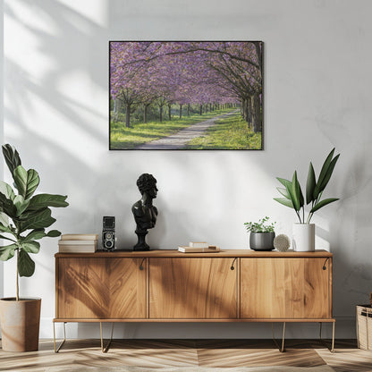 Wandbild Idylle Kirschblütenallee