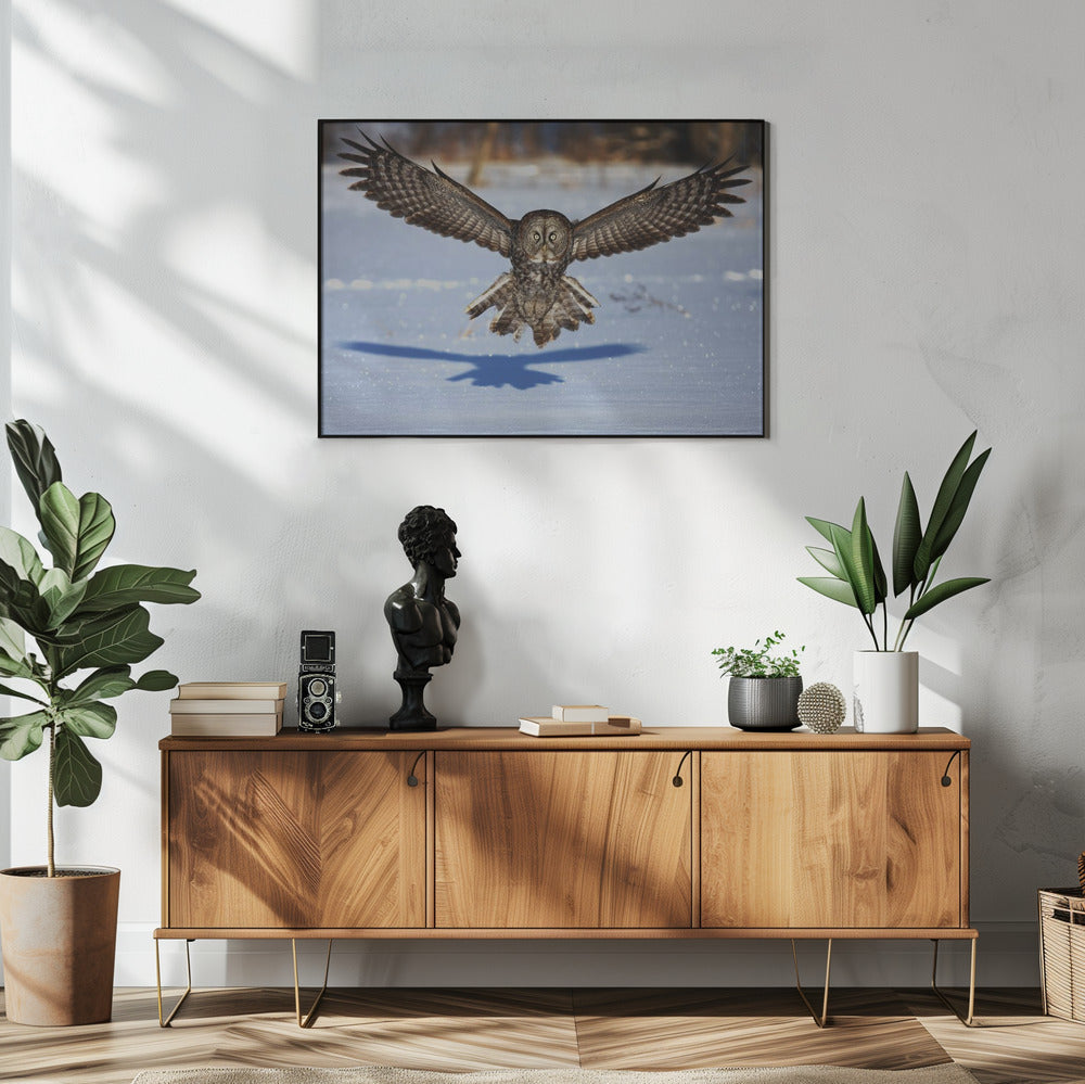 Wandkunst Mitten ins Gesicht – Bartkauz