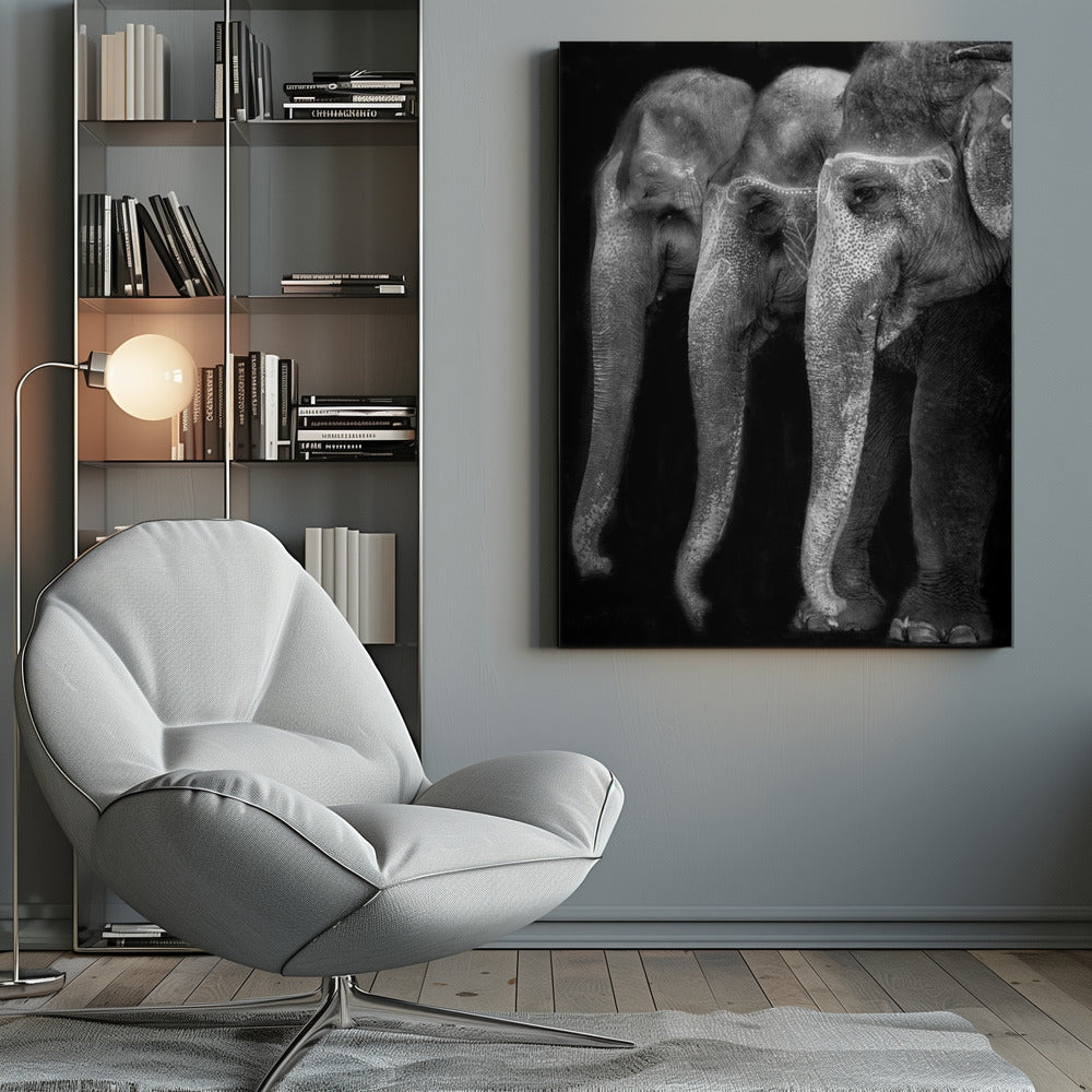 Wandbild Die Natur ist ein großartiges Meisterwerk, ein Elefant; das einzige harmlose große Ding ...