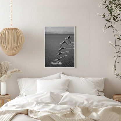 Wandbild Die Schönheit des Tauchens