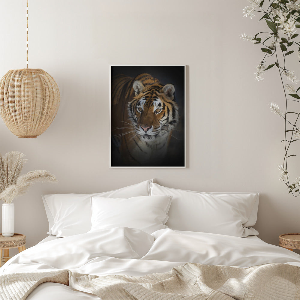 Wandbild Portrait eines Sibirischen Tigers