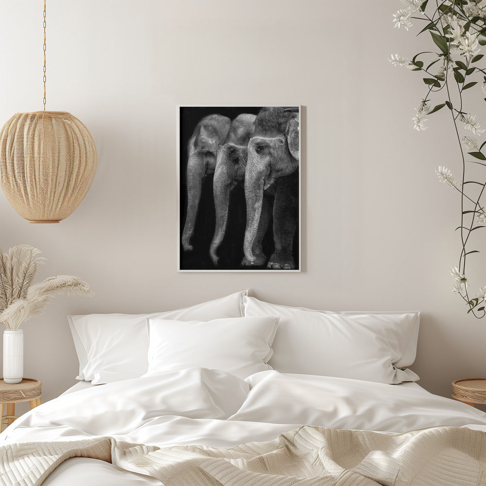 Wandbild Die Natur ist ein großartiges Meisterwerk, ein Elefant; das einzige harmlose große Ding ...