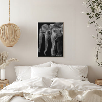 Wandbild Die Natur ist ein großartiges Meisterwerk, ein Elefant; das einzige harmlose große Ding ...