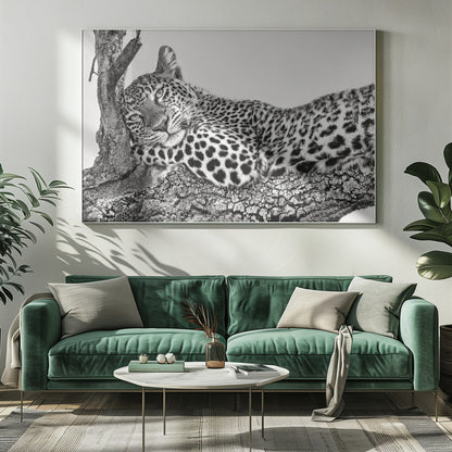 Time to rest Leopard