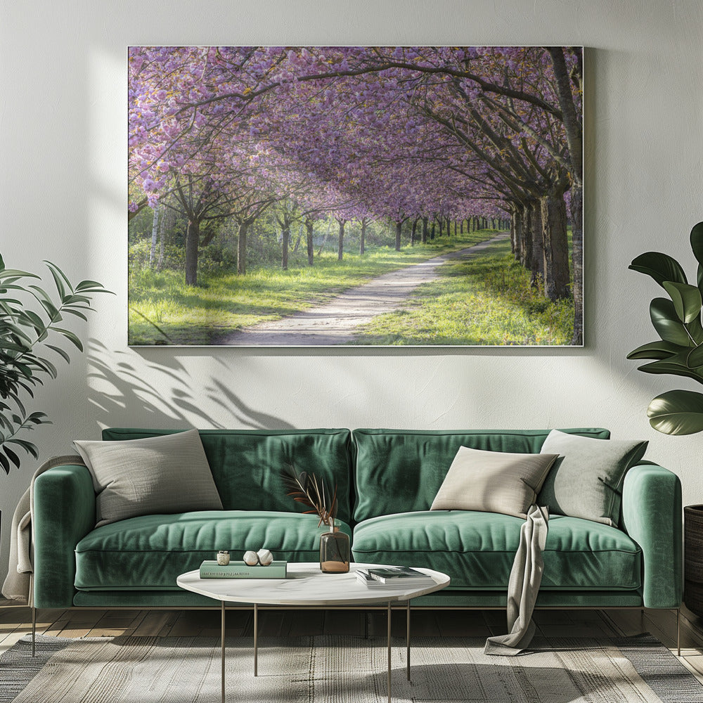 Wandbild Idylle Kirschblütenallee