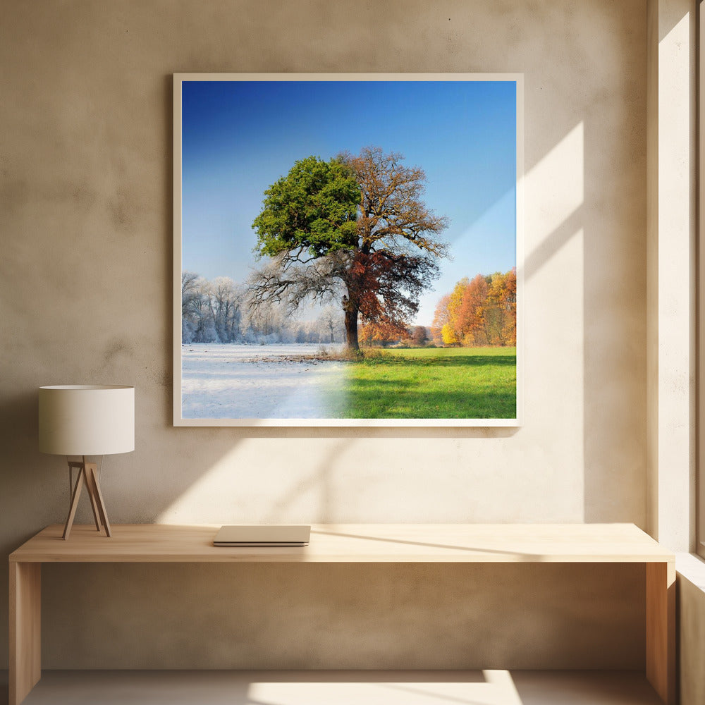 wall Art 4 seasons