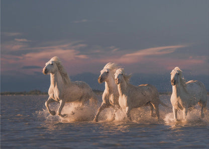 Wandkunst Engel der Camargue. Pferde