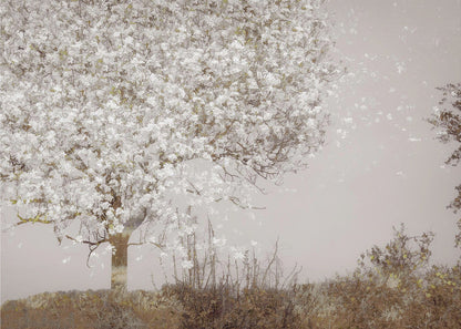 Wall art Fruit tree
